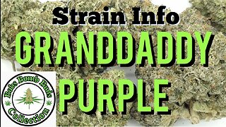 Grand Daddy Purple GDP Cannabis Strain By Ken Estes & From Chronic Farms Review