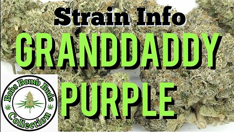 Grand Daddy Purple GDP Cannabis Strain By Ken Estes & From Chronic Farms Review