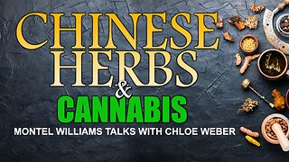 CHINESE MEDICINE & CANNABIS | CHLOE WEBER