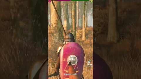 Bannerlord mods from TikTok 14