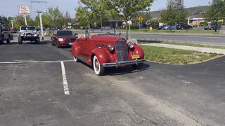 1937 Packard …in the wild