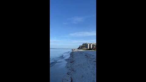 Livestream Replay - Dolphins At Little Hickory Beach Before Ian