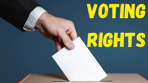Should EVERYONE Have The Right To Vote?
