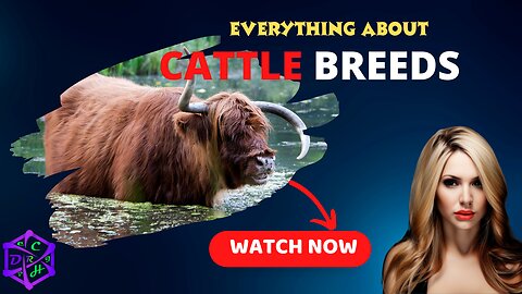 Top 10 Cattle Breeds (Cow)