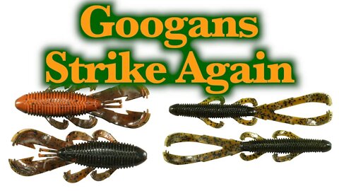 The Googan Squad Strikes in Boerne Texas