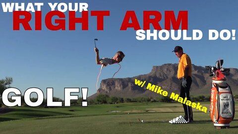 What the RIGHT ARM should do in the golf swing. Top 50 instructor Mike Malaska explains.