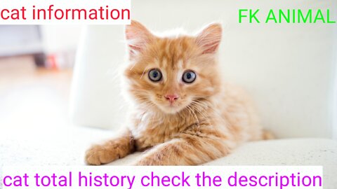 Cat total history#cat details video