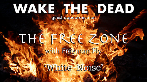 Sean McCann on The Free Zone w/ Freeman Fly 'White Noise'