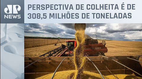 IBGE projeta redução de 2,8% na safra de grãos para 2024