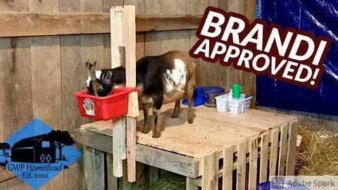 How to Build a Goat Milking Stanchion | DIY Milking Stand from Pallet Wood