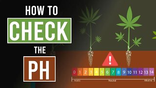 Test the p.H of your Plants