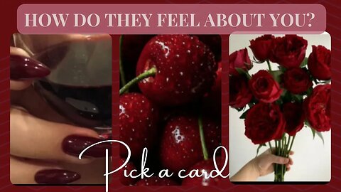 QUICK TAROT READING | HOW DO THEY FEEL ABOUT YOU RIGHT NOW? 🌹| Pick a card #tarot