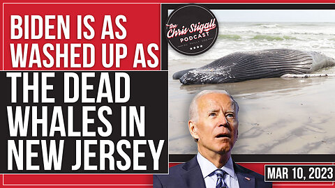 Biden Is As Washed Up As The Dead Whales in NJ