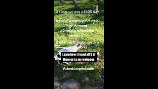 Asherblueprint.com get an automated online business today