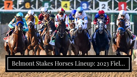 Belmont Stakes Horses Lineup: 2023 Field, Post Positions & More