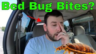 Reports Of BED BUGS!!! EWWWW