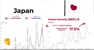 JAPAN EXCESS MORTALITY UPDATE