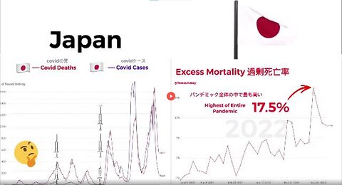 JAPAN EXCESS MORTALITY UPDATE