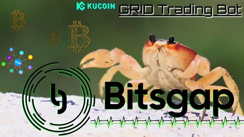 Update Using Bitsgap Grid Bots To Stack Altcoins While The Market Is Down