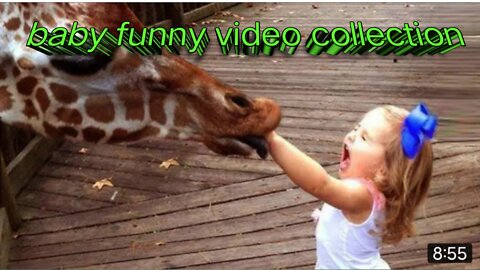 Tra not laugh baby reactions to girffe-funny annima video