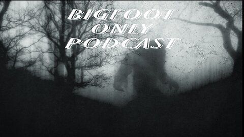 Paranormal activity in the woods. Do Bigfoots really cloak?!