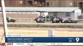 Rillito Horse Safety/Death
