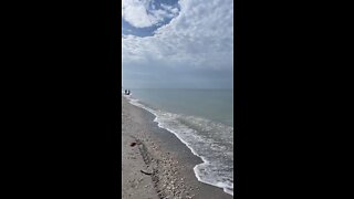 Bowman’s Beach- More Dolphins Part 1