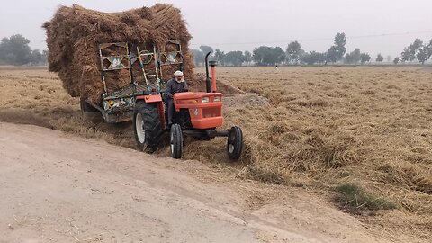 tractor driving