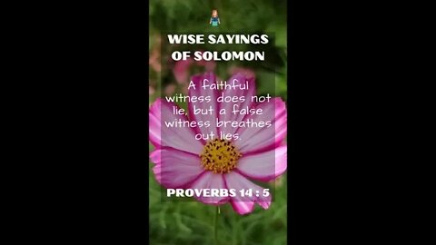 PROVERBS 14:5 | Wise Sayings of Solomon