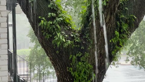 Rain on a Tin Roof During Tropical Storm (4 Hours) || Relax, Meditate, Sleep ||Natural White Noise