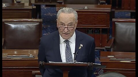 Schumer's Rebuke: The Fragile Line of Interference