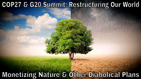 A Mostly Definitive Guide To COP27 & G20 Summits: Monetizing Nature & Other Diabolical Plans