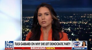Tulsi Gabbard: Dem Party Is Controlled By Fanatical Ideologues