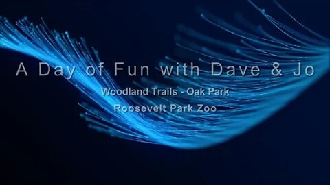 A Day of Fun with Dave & Jo, Woodland Trails, Oak Park & Roosevelt Park Zoo (Tiger Cubs)