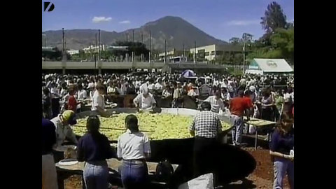 Record Breaking Paella