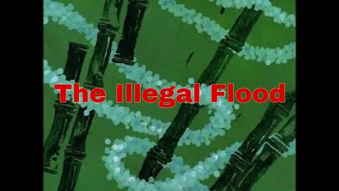 The Illegal Flood