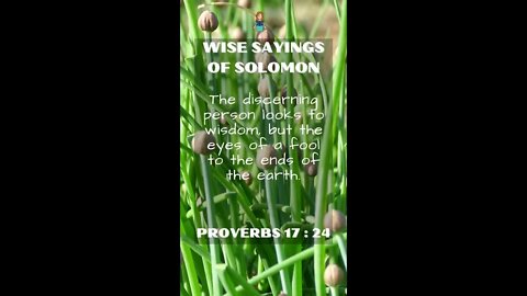 Proverbs 17:24 | NRSV Bible - Wise Sayings of Solomon