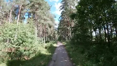 Cycling into Bell Wood (Aboyne)