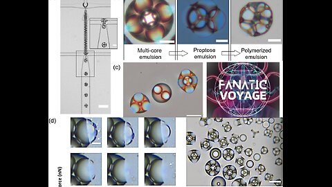 Polymerized Complex Multi-Core Emulsions Particles Microfluidic Technology - Colloid Chemistry