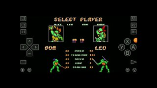 Playing "TMNT of RAGE" Rom Hack for The Sega Genesis Emulator