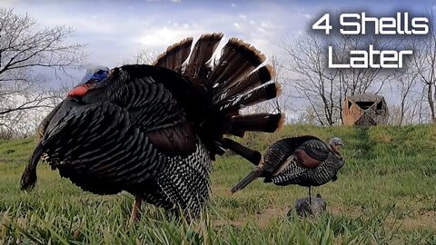 Turkey Hunting - Missed Three Times!