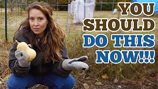 Get This Done Now & Eat for MONTHS Off These Crops (Even In Freezing Temps!)
