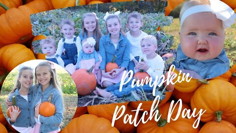 Pumpkin Patch