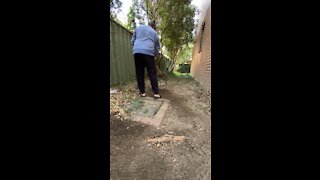 DIY backyard cleaning