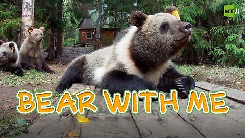 Bear With Me | RT Documentary
