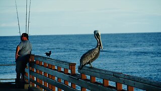 St. Simons Island Pier Photos