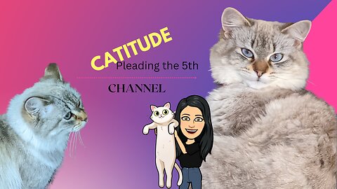 Catitude - With Annie - Pleading the 5th