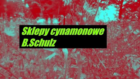 Sklepy cynamonowe -B. Schulz audiobook