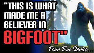 Pennsylvania's Mysterious Bigfoot Encounters: Real Stories Revealed