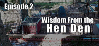 Wisdom From the Hen Den (s1e2) - Chicken Dance
